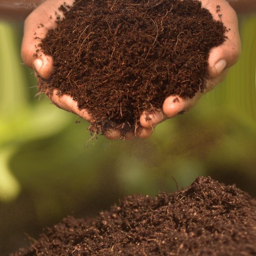 Coco Peat